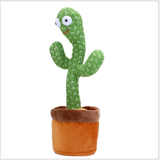 Cactus Bailarin