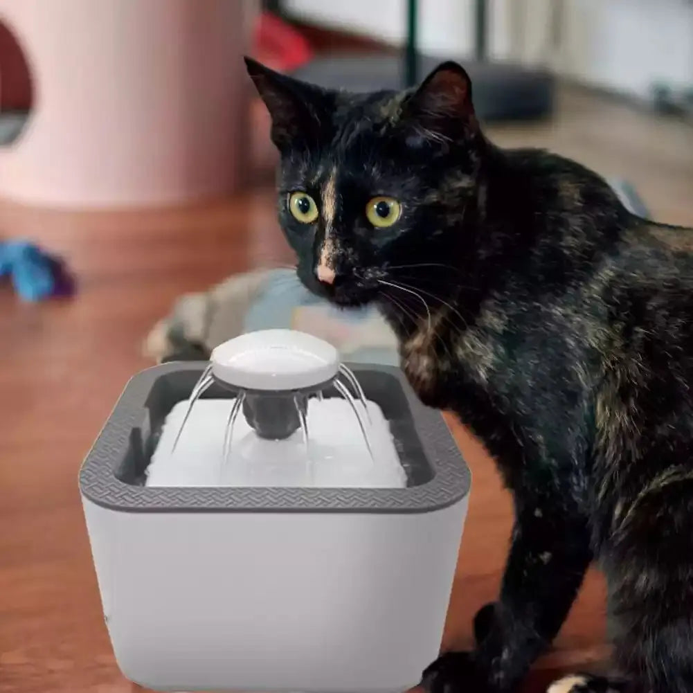 Fuente eléctrica de agua para mascota - Enovaverse
